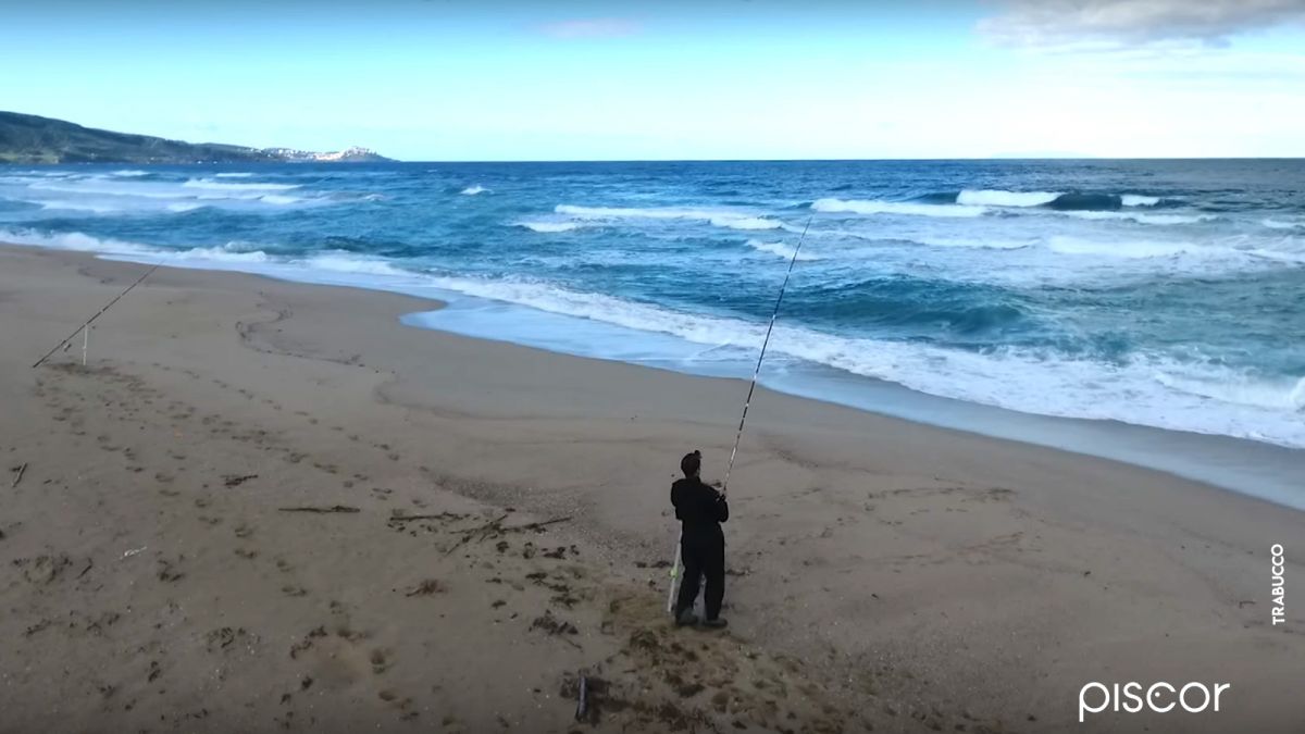 Pêche du Bar en Surfcasting