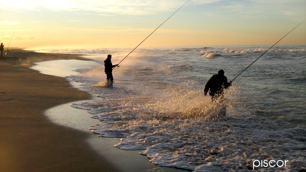 Mullet Fishing and Sea Bass Fishing with Bolo rods from the beach. Discover which equipment to choose