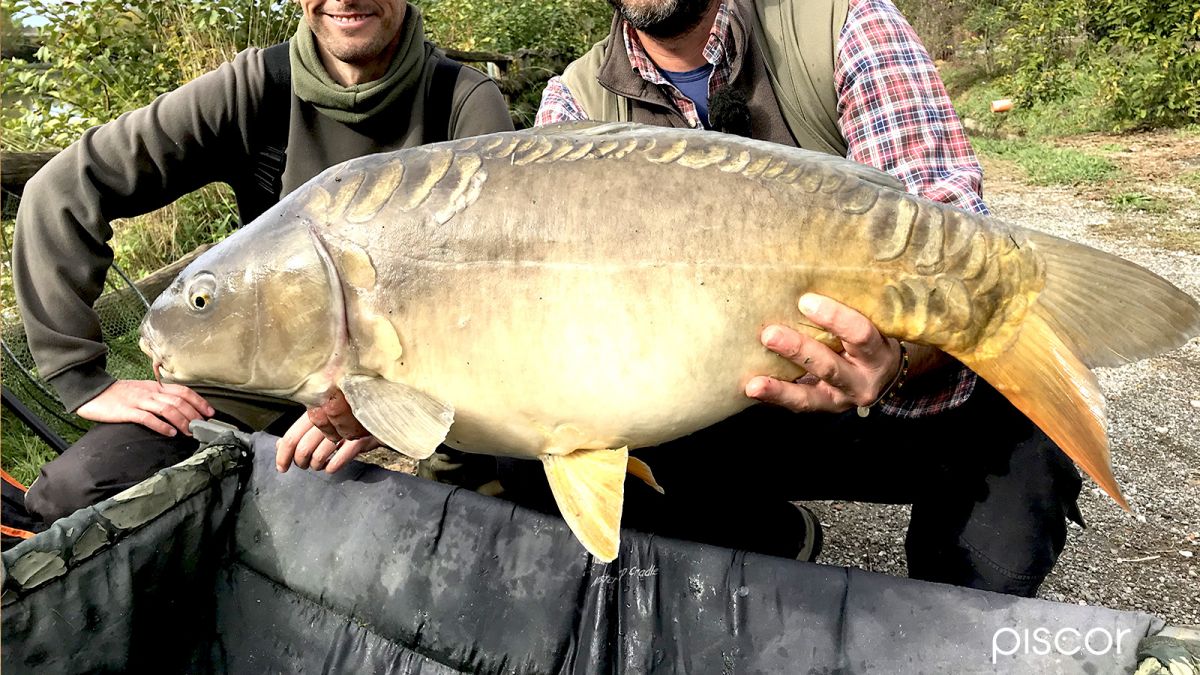 Pêche à la Carpe en Hiver en Carpodrome : les Stratégies Gagnantes