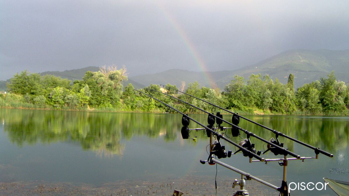 Carpfishing in Rivers and Channels