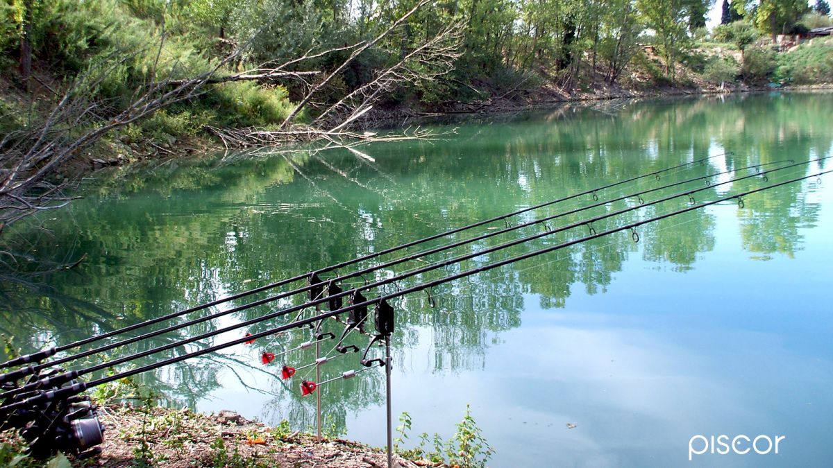 Carpfishing in Quarries and Small Lakes