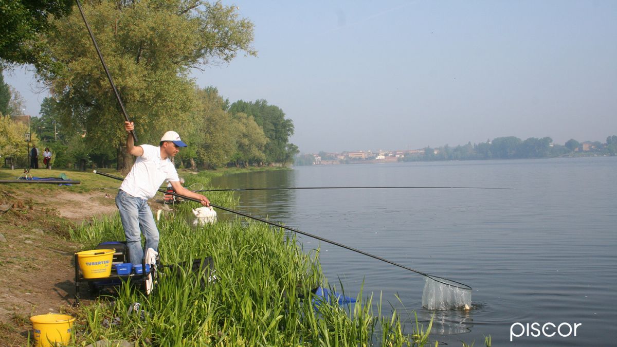 Long or Short Flag for Roubasienne Fishing