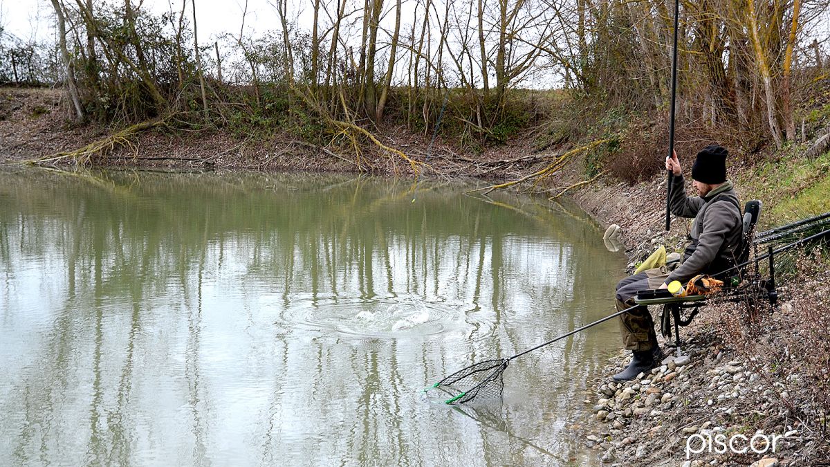 Fishing with Expanded Pellet and Roubasienne Rod in the Quarry