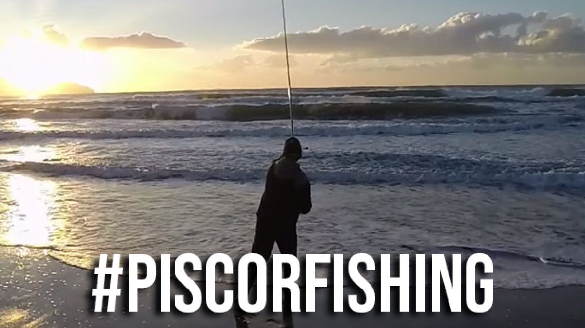 Jeu-concours Piscorfishing: Troisième Edition