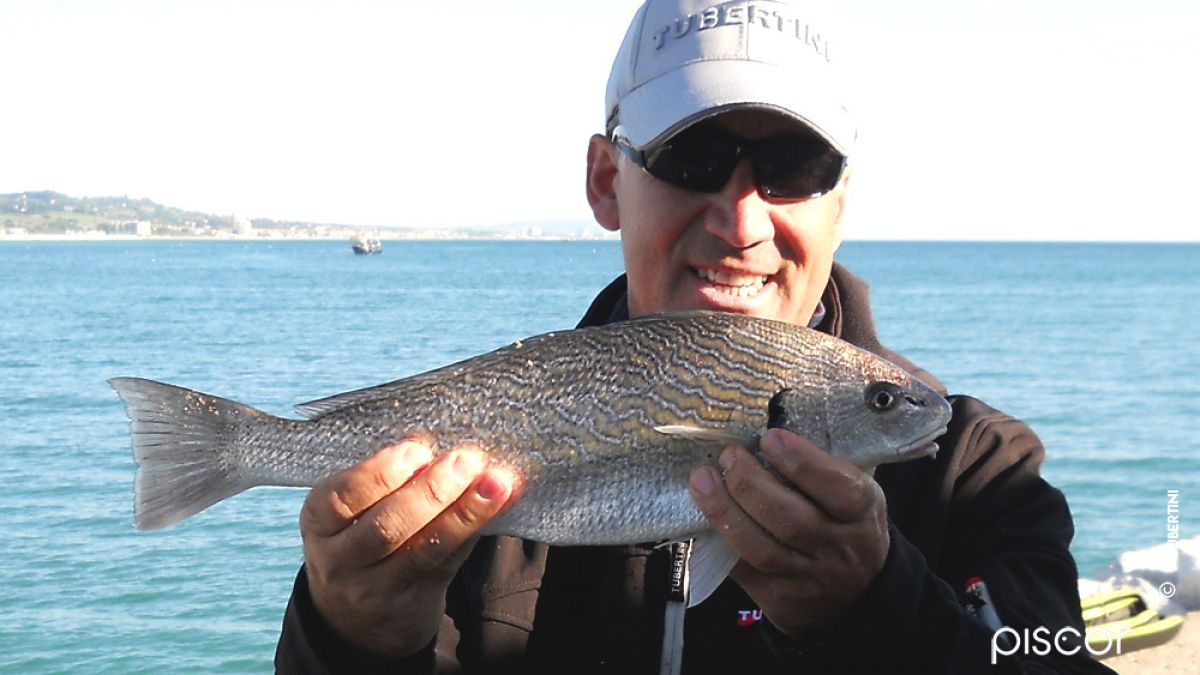 Pesca en Mar. Buscando a la Corvina