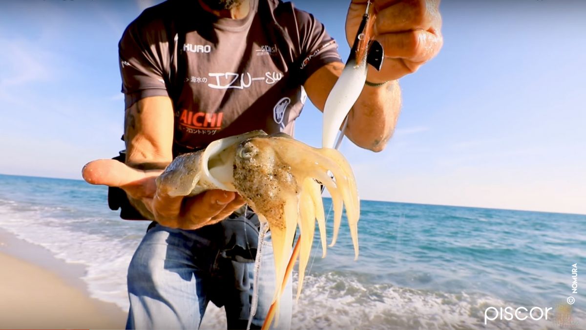 Eging Fishing from the Shore to Cuttlefish