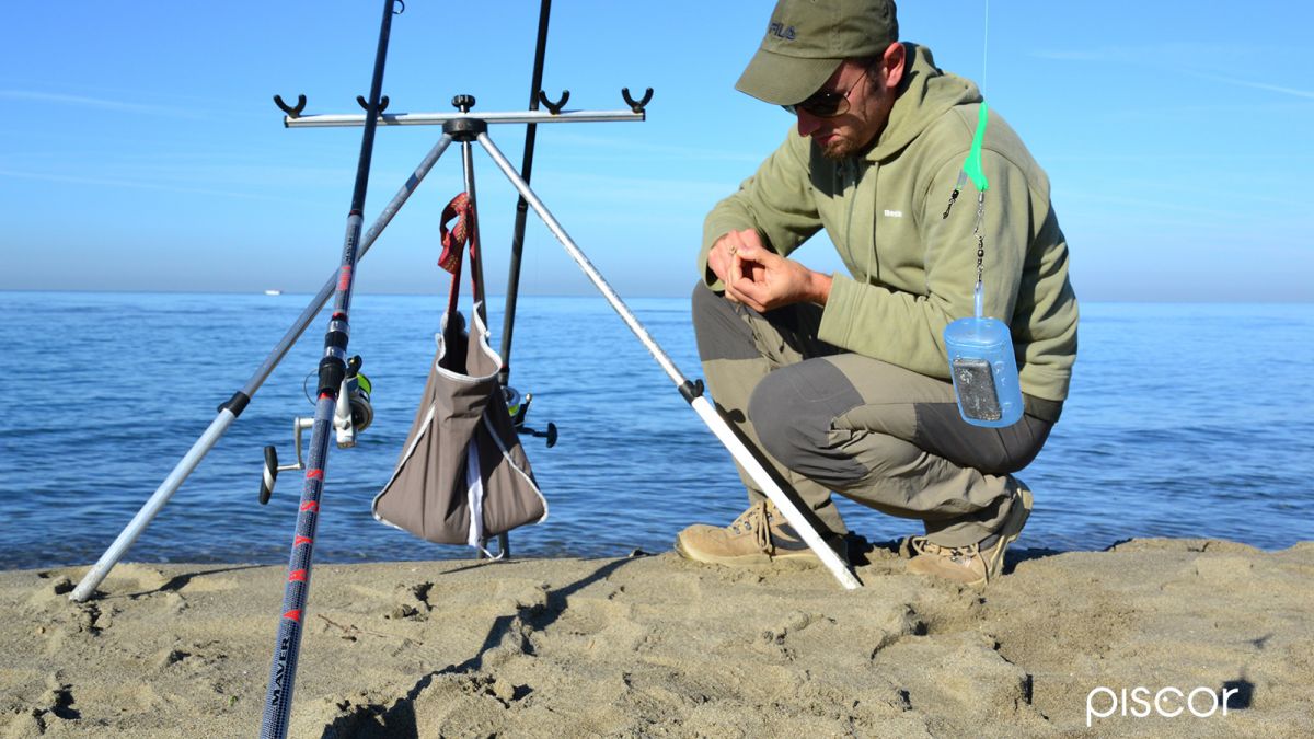 Bait and Settings for Ledgering Fishing in the Sea