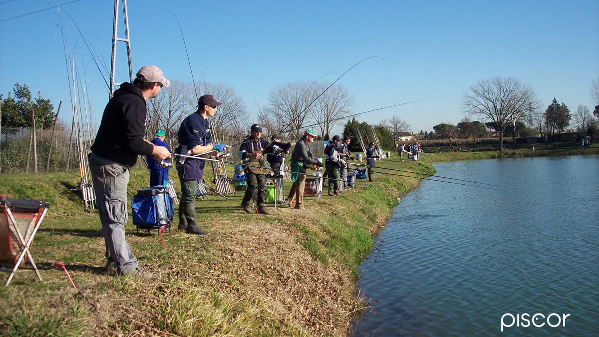 Fishing Trout lake Rods. Which one and how to choose them?