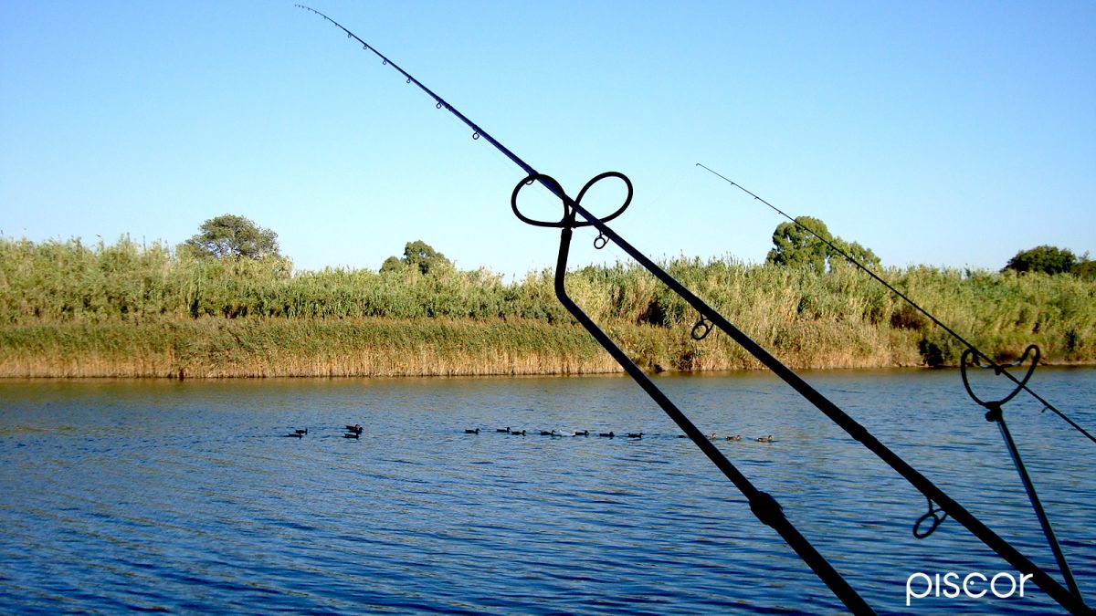 All the Equipment for a Ledgering fishing trip in brackish water