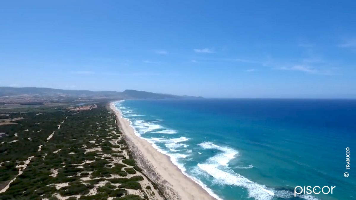 Pêche du Marbré et de la Dorade en Surfcasting