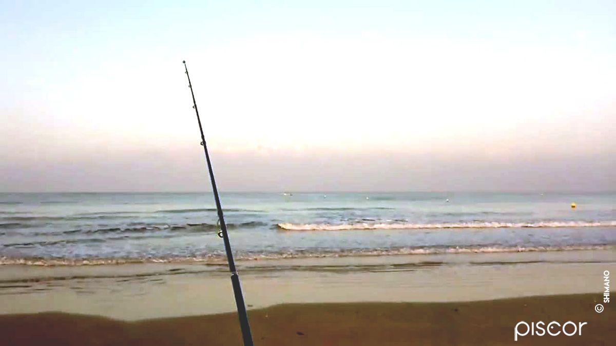 Los Mejores Montajes para el Surfcasting