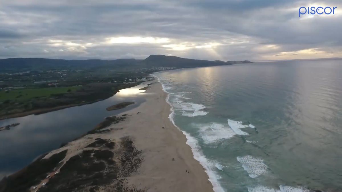 Pêche de la Dorade en Surfcasting en Mer avec Marée Descendante