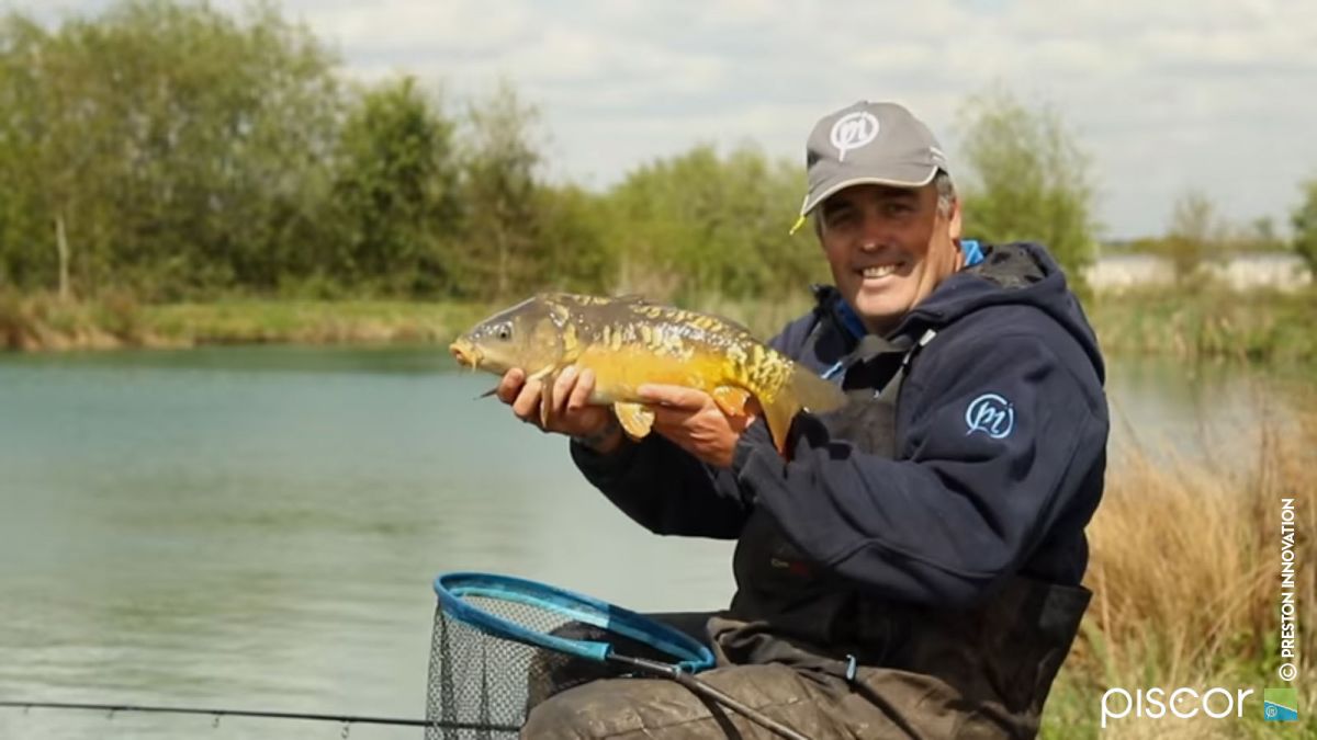 Les Origines de la Pêche au Feeder