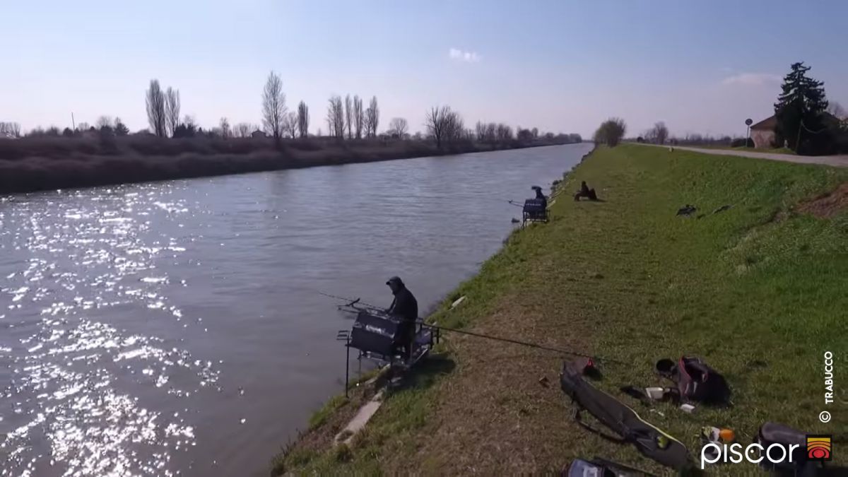 Pêche au Feeder. Le meilleur Equipement pour une séance de Pêche de la Brème