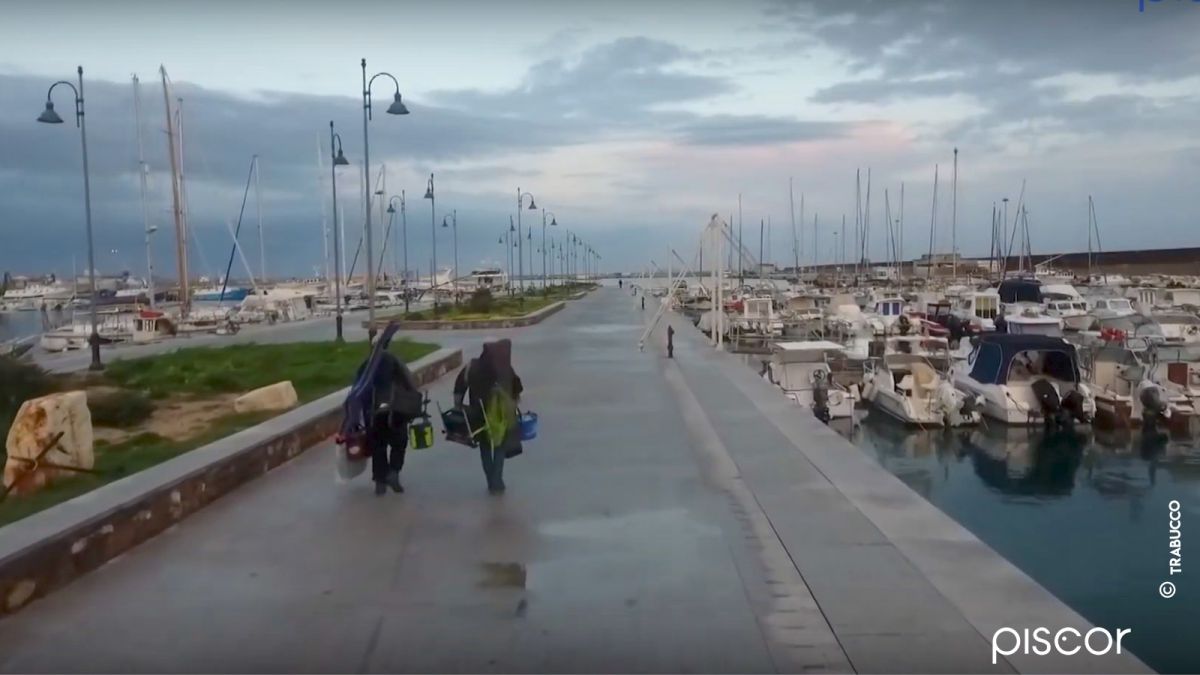 Pêche au Pain en Mer : Saupes et Mulets à la Canne Bolognaise