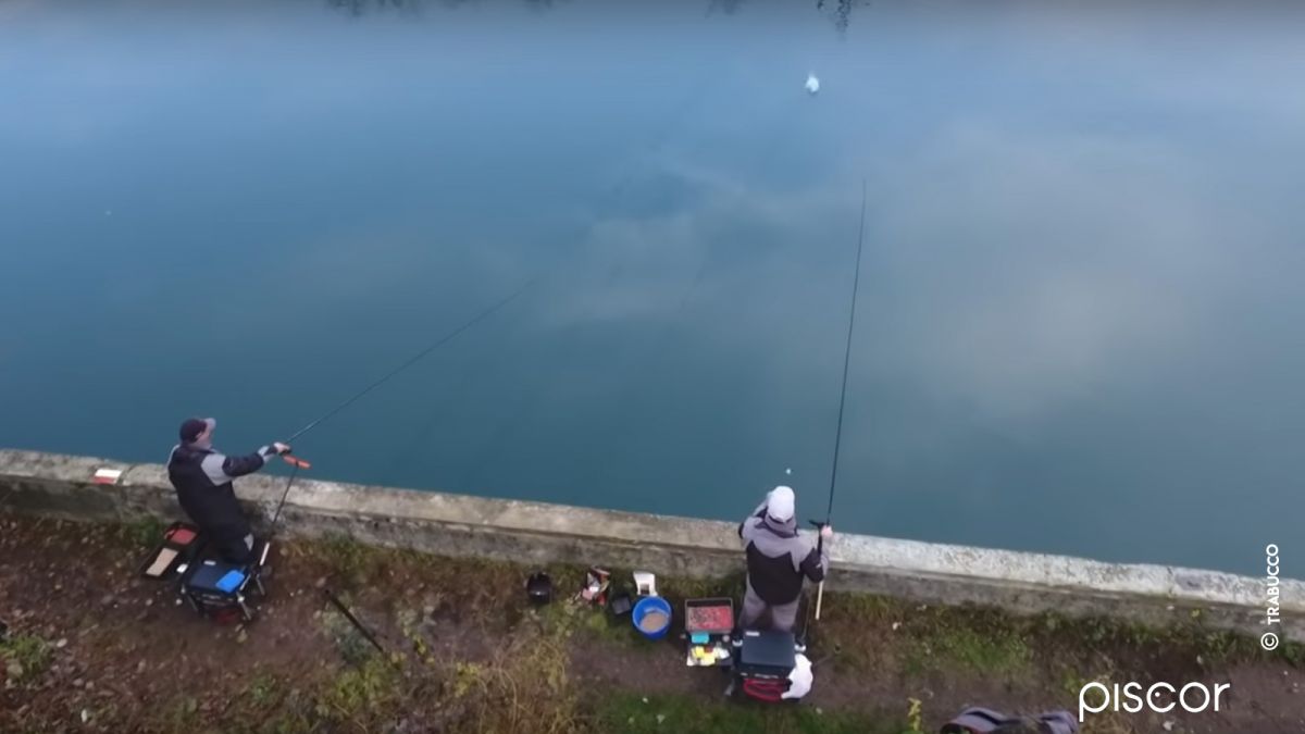 Pêche du Chevesne au Running Rig Feeder