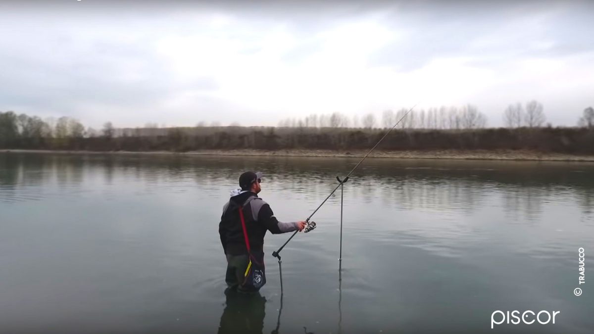 Pêche du Barbeau au Feeder. Une Séance de Pêche Itinérante