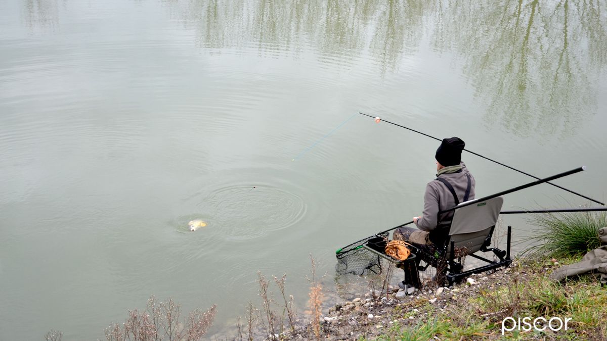 Pêche Hivernale en Carpodrome. Les Conseils pour Bien Performer