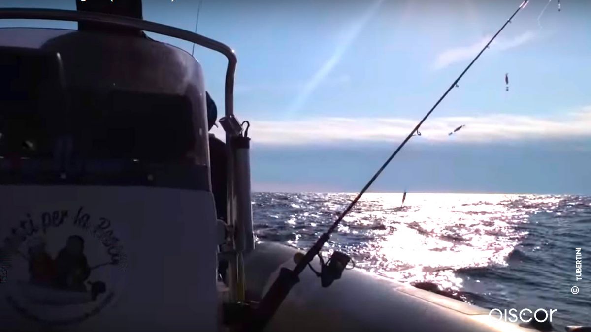 Come Pescare le Seppie e i Calamari dalla Barca con le Totanare