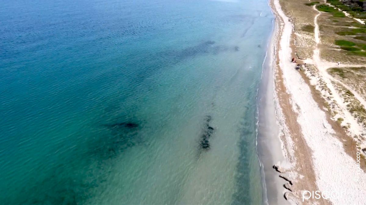 Light Surfcasting. Pompano fishing triggering Korean worm and Bibi