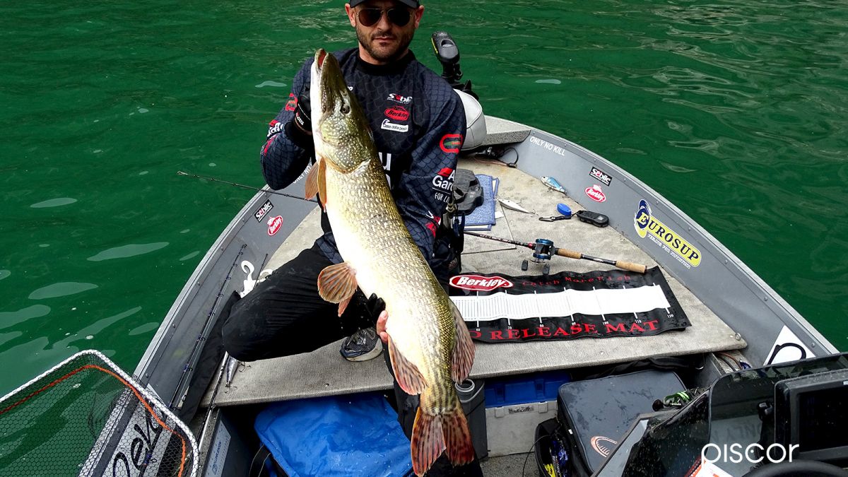 Quand Pêcher le Brochet ? Analyse des Stratégies pour chaque Saison