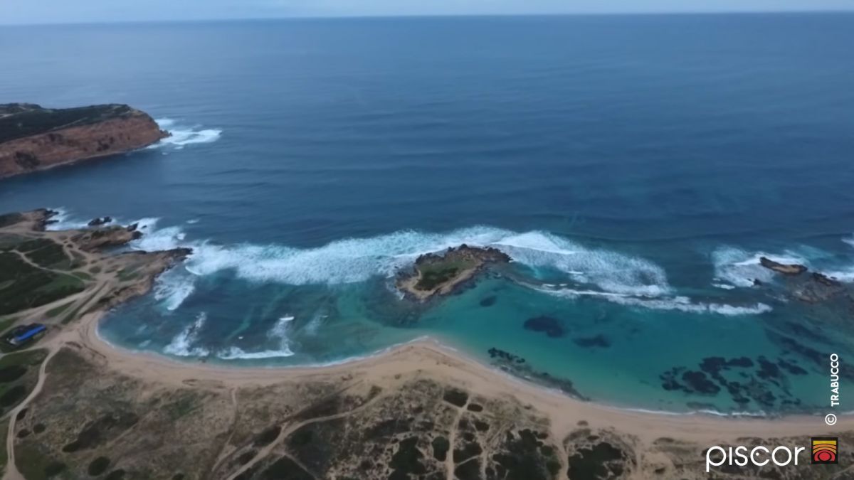 Pêche en Surfcasting : Sars et Oblades à l'Aube