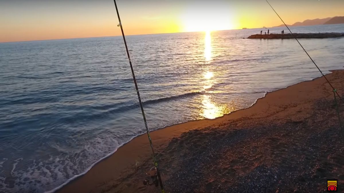 Sea Bream Surfcasting Setting. Team Trabucco Advice