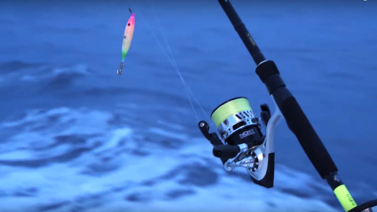 Squid And Flying Squid Fishing With Jig