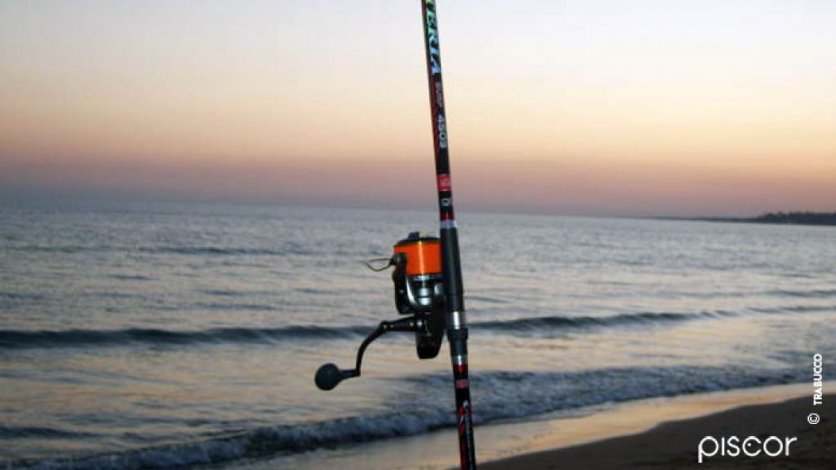 Pesca Surfcasting: ¿Plomo Fijo o Corrido?