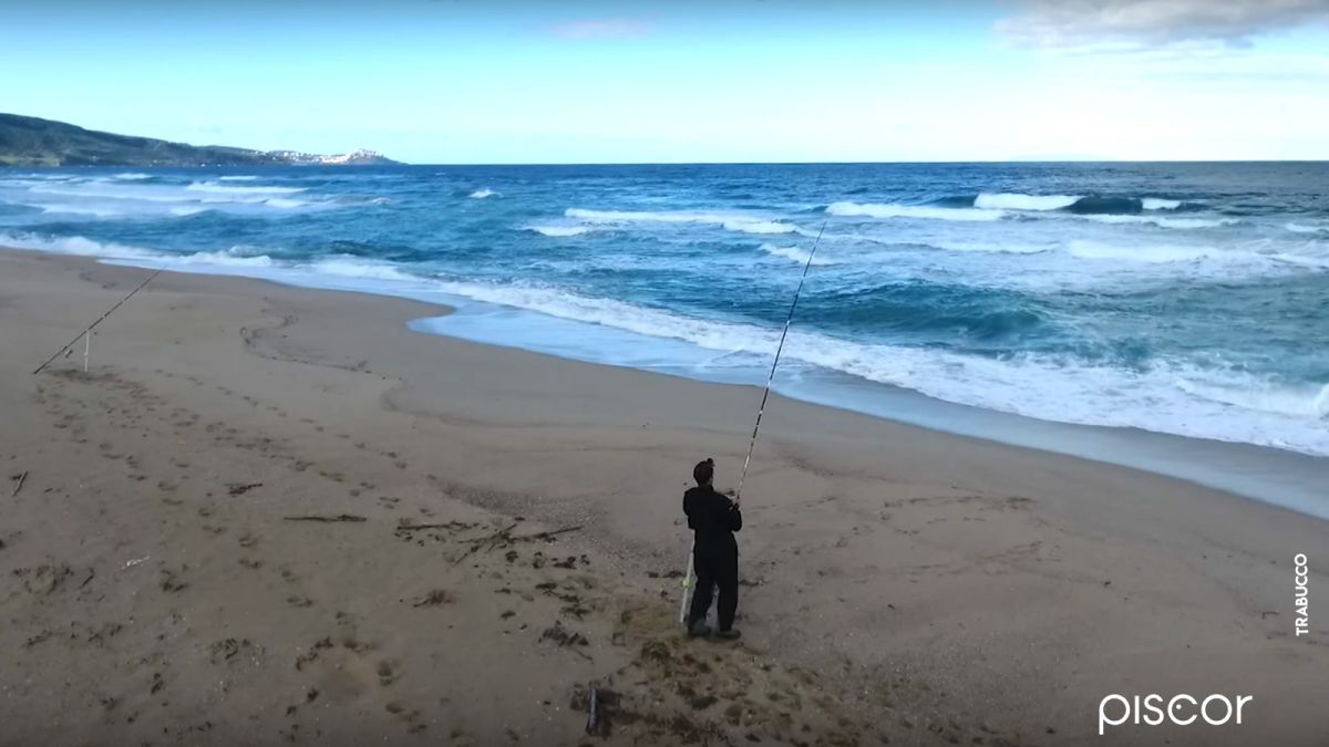 Sea Bass Surfcasting Fishing from the Beach