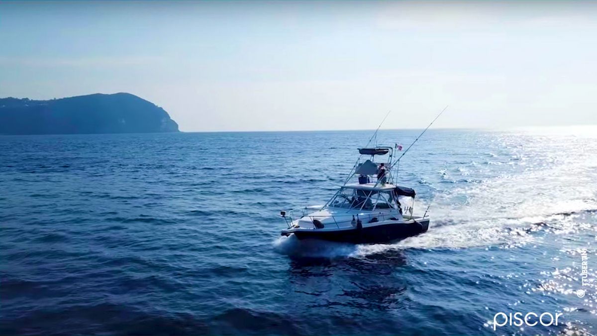 Yellowtail and Weever Fishing from the Boat