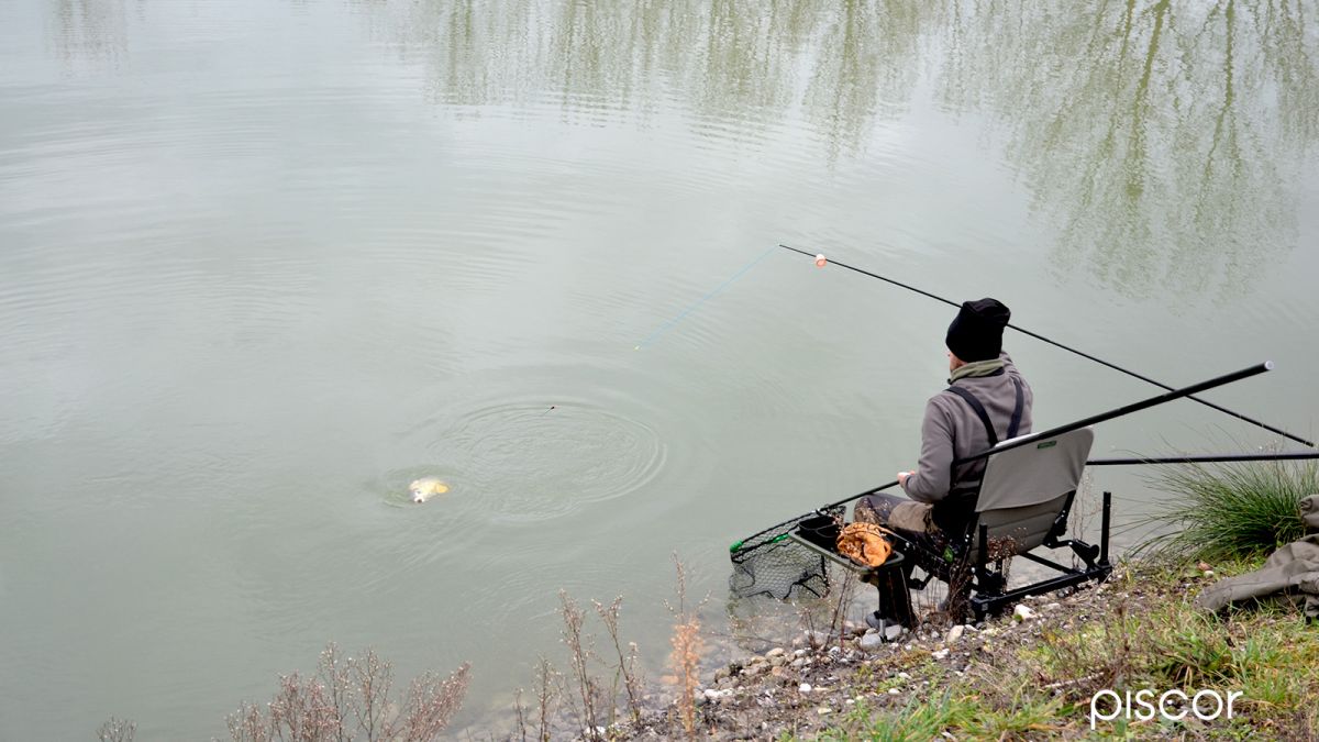 How to face a Winter Fishing session in Carpodrome