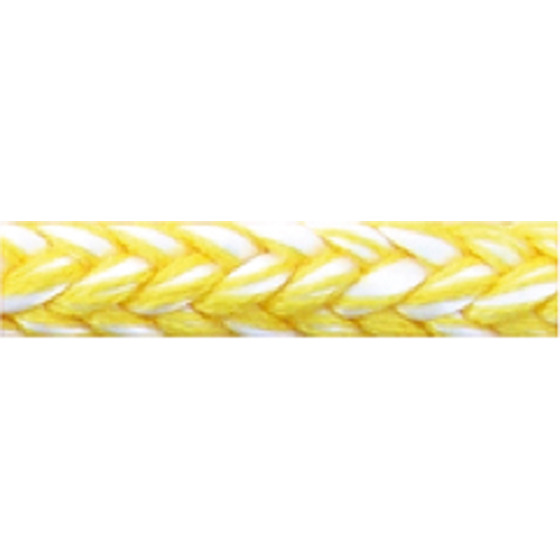 Cavalieri Lightdy Yellow