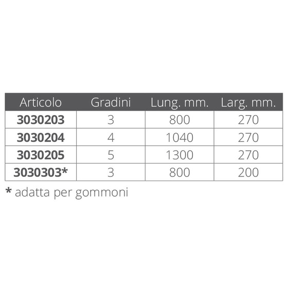 Fni Ladder For Inflatables