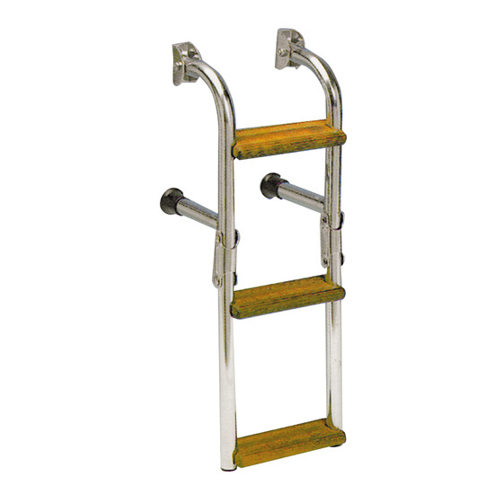 Fni Ladder For Inflatables