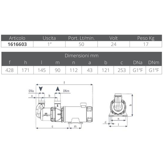 Gianneschi Pump Mv44 G