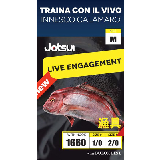 Jatsui Traina Con Il Vivo Innesco Calamaro