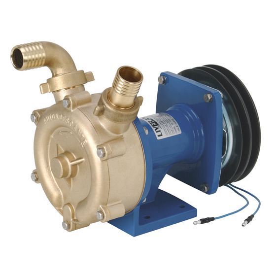 Liverani Special Pump 30