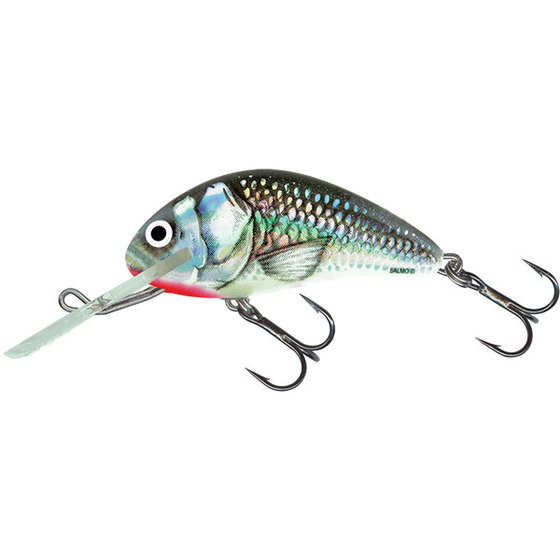 Salmo Hornet Floating - 6 Cm