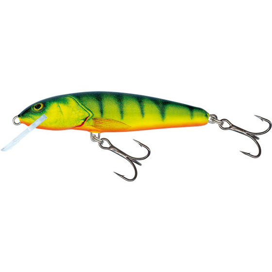 Salmo Minnow Floating - 6 Cm