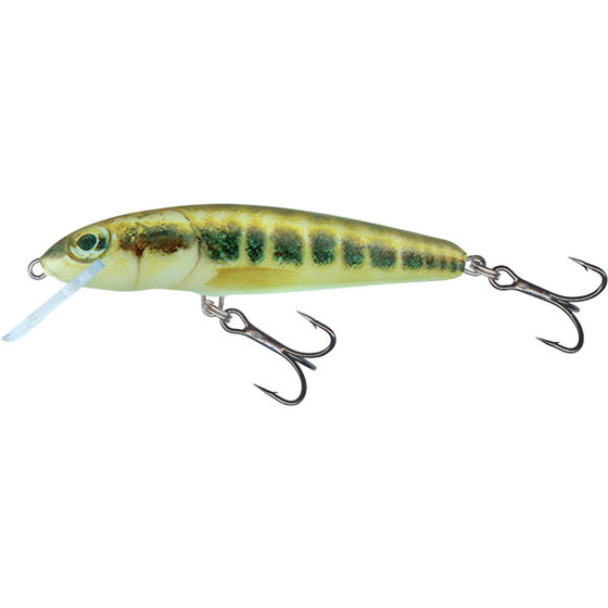 Salmo Minnow Floating - 6 Cm