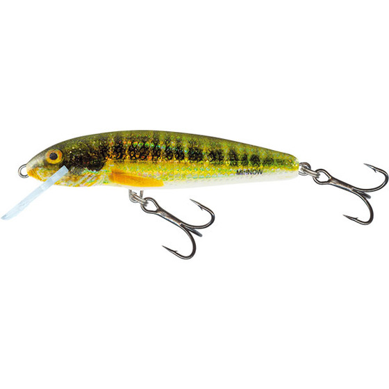 Salmo Minnow Floating - 6 Cm