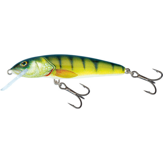 Salmo Minnow Floating - 9 Cm