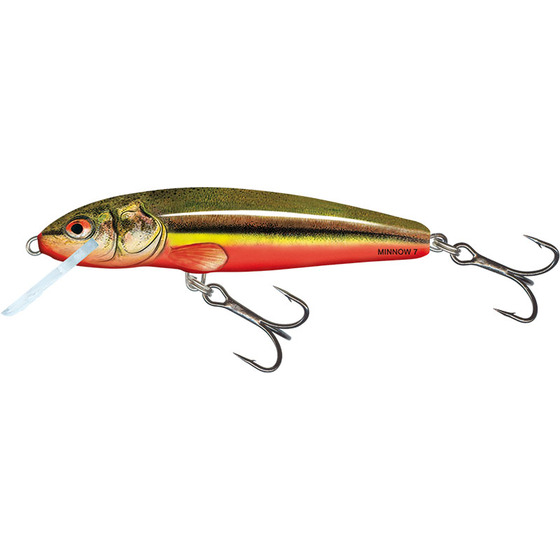 Salmo Minnow Floating - 9 Cm