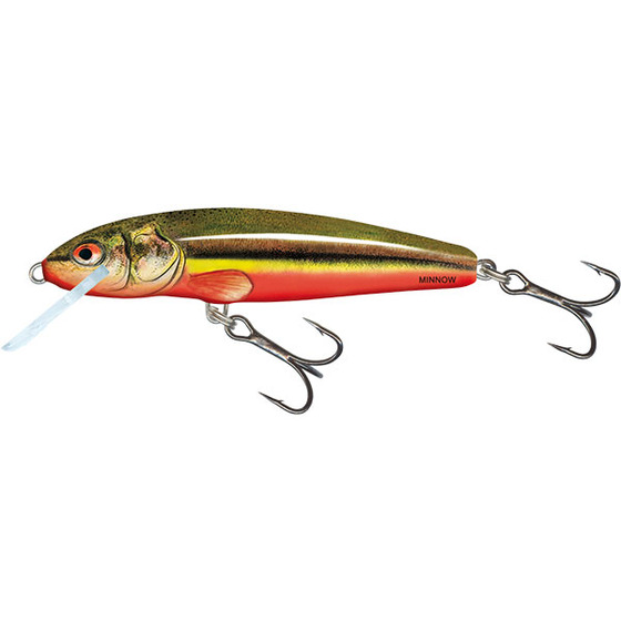 Salmo Minnow Sinking - 5 Cm