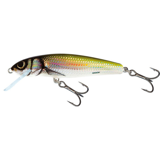 Salmo Minnow Sinking - 6 Cm