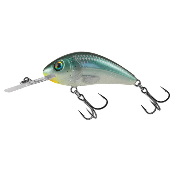 Salmo Rattlin Hornet Floating - 5.5 Cm