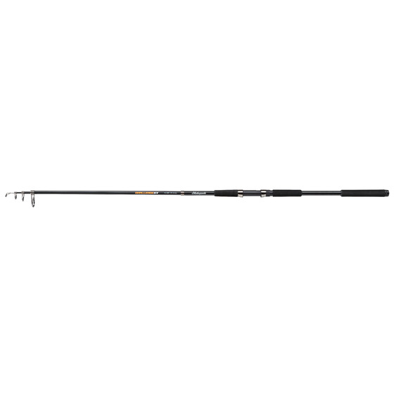 Shakespeare Challenge St Spinning Rod