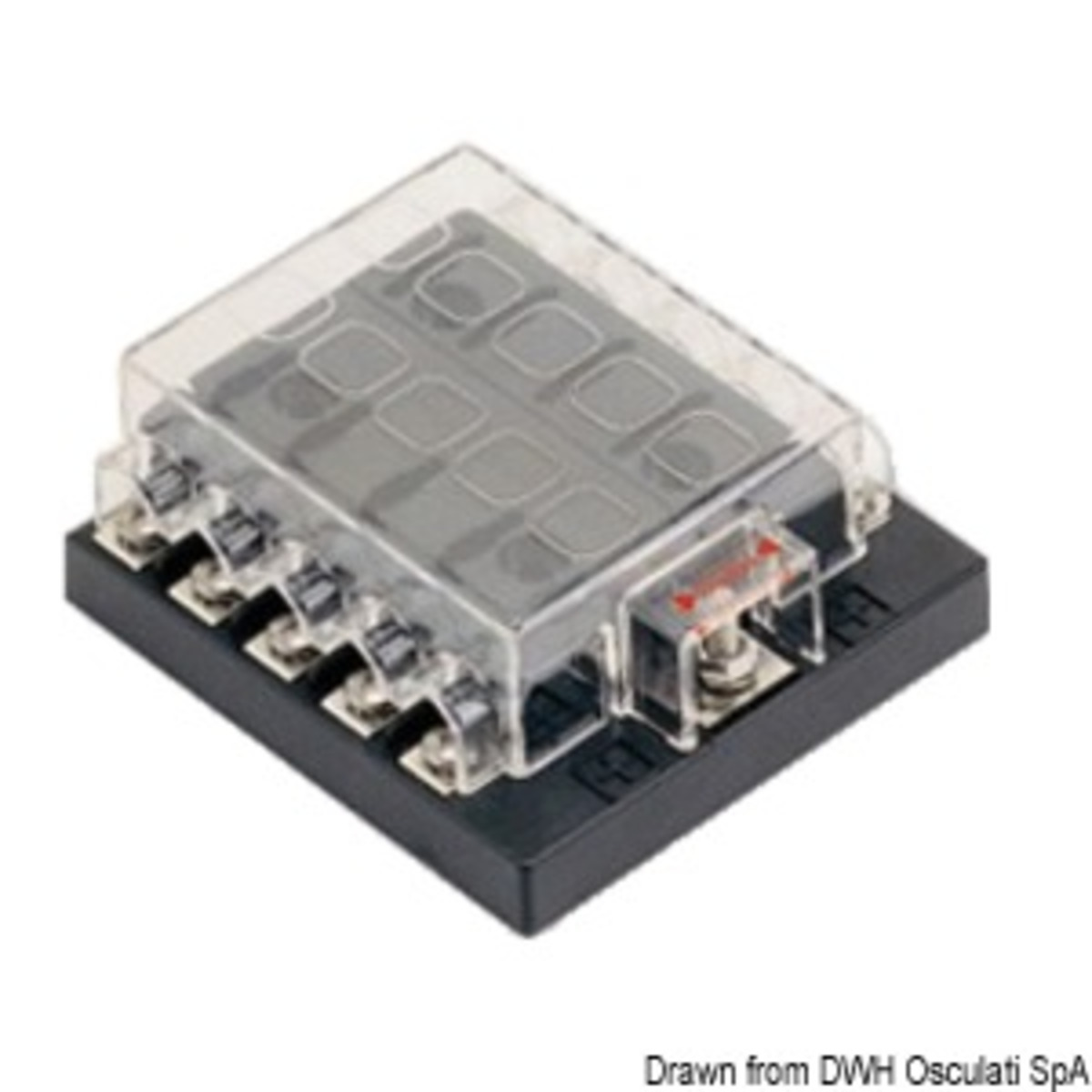 Osculati Standard Blade Fuse Holder Box With Common Positive - Blade fuse holder box 10 seats