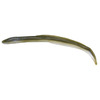 Berkley Gulp! Alive Swimming Eel
